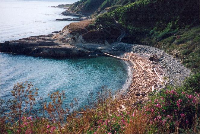 Beach at Victoria