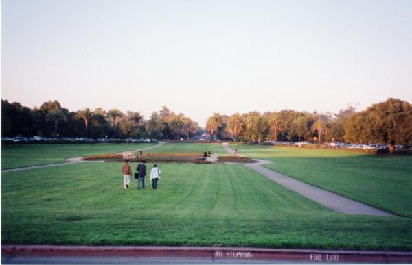 Stanford Palm Drive