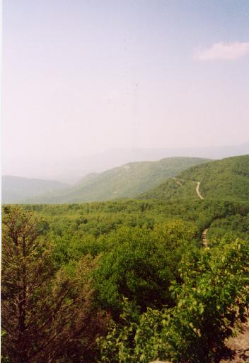 Trees and hills, hills and trees