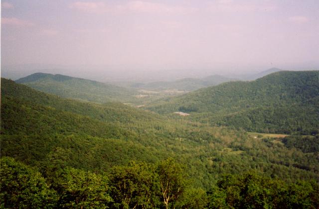 More hills and trees