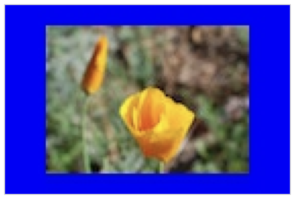 alt: blue out image with copy of input image on it