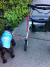 photo of dog's leash caught in the wheel of a walker