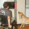 photo of a child in a wheelchair and a service dog