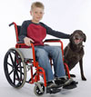 photo of a child in a wheelchair and a service dog