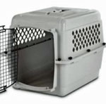 Photo of Korey's kennel