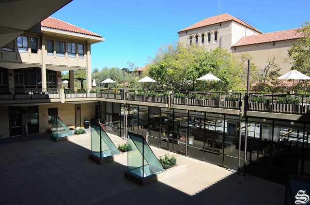 Outside View of Lathrop Library Courtyard