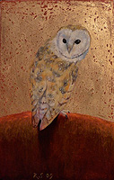 barn owl