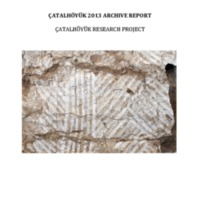 Archive_Report_2013.pdf
