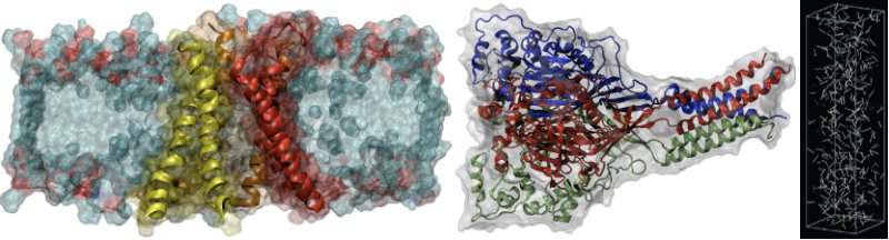 Amphipathic Protein