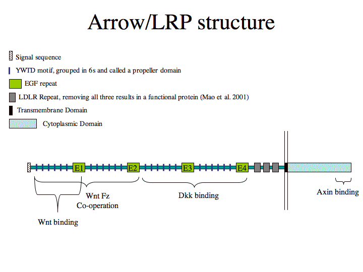 Arrow structure