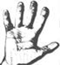 small hand image