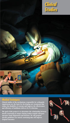 Clinical studies photo