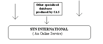 Other Specialized Databases, STN International