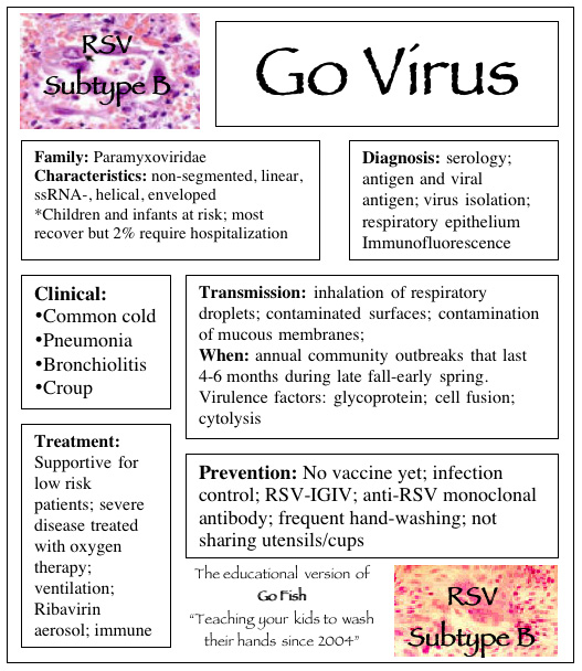 Syncytial Virus