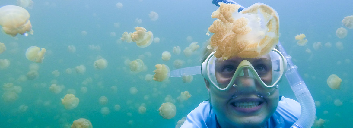 student snorkeling among jellyfish