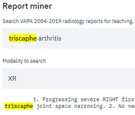 Report Miner