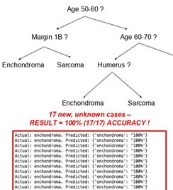Decision Trees