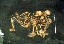 Skeletons of two women buried together at the same time at Panaulauca