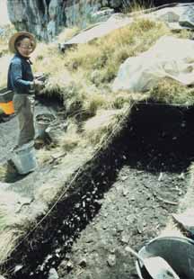 Excavating on the bone-rich talus of Panalauca Cave