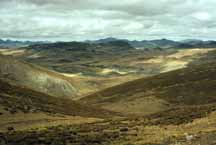 Typical puna environment, Junin: looking westward to the main Andes mountain range