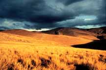 Puna grassland near Panaulauca, Junin, in the central sierra of Peru