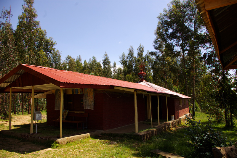 IMGP5441