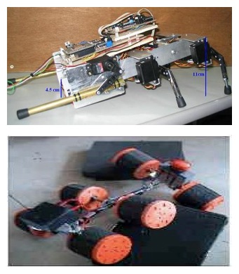 Cockroach robot