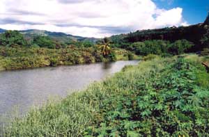 Hanapepe River