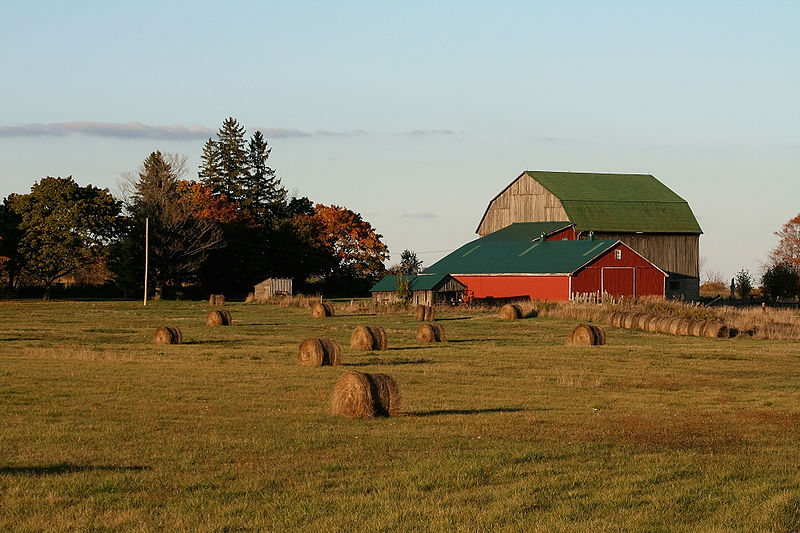 Red Barn with Hay Rolls in Field