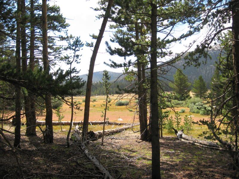 Horseshoe Meadow