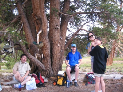 Lunch at Cottonwood Pass