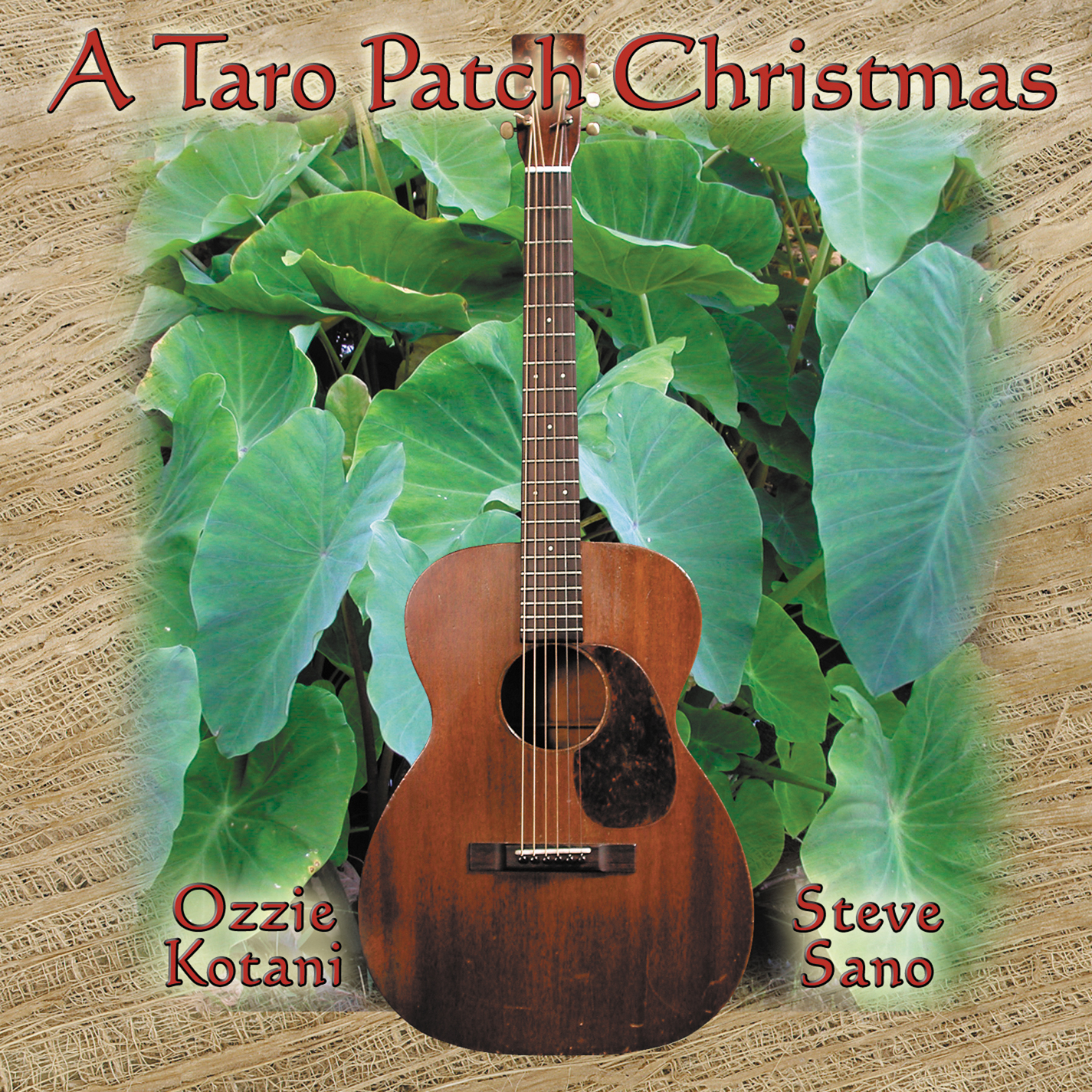 Taro Patch Tuning Chords In Band