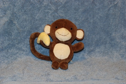 alt: monkey with blue background