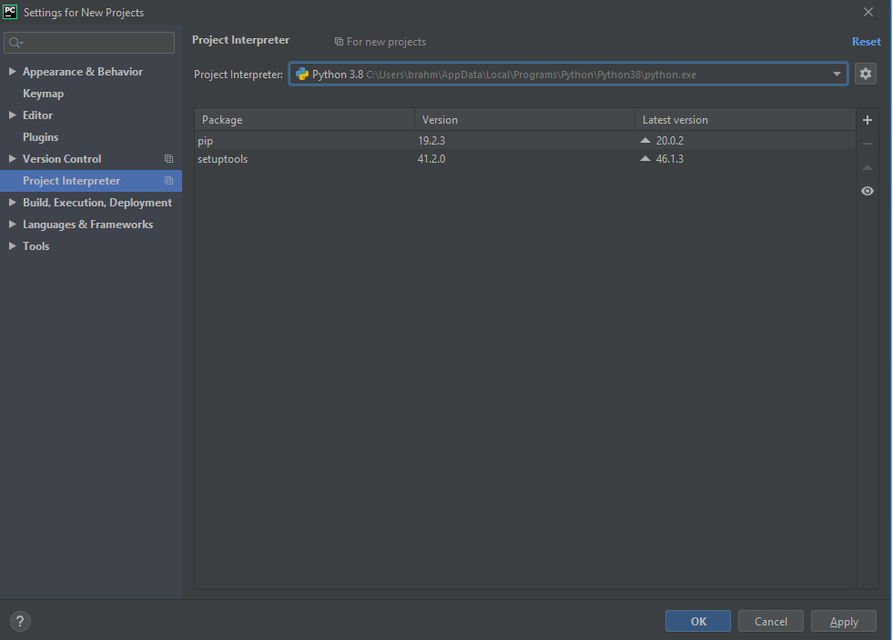 Interpreter window after selecting system
interpreter