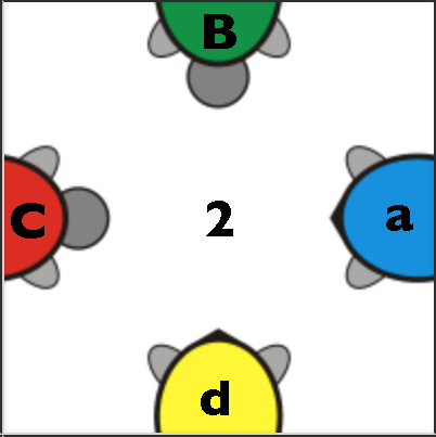 single turtle annotated 2