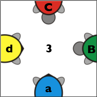 single turtle annotated 3