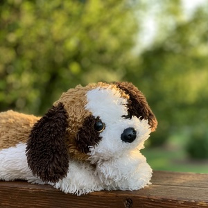 Photo of Stanley Cao