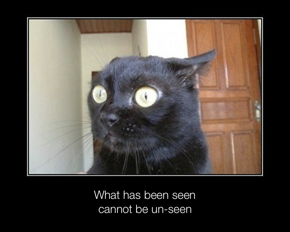 An image of another terrified cat, with the caption, 'What has been seen cannot be un-seen'
