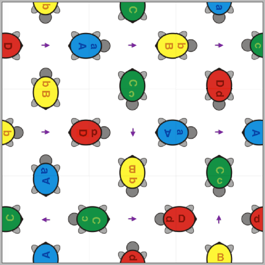 Annotated turtles solved