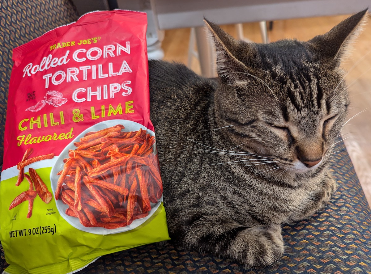 alt: cat with empty chip bag