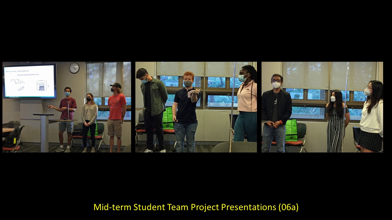 Accessible and Inclusive Playground Structures