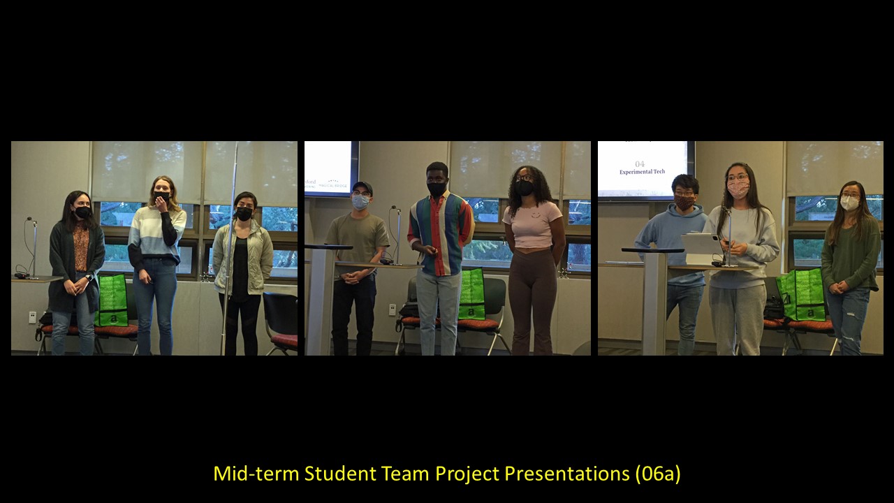 Wearable Storage Pack