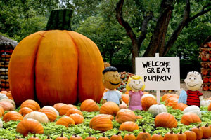 Great Pumpkin yard