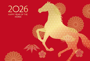 Year of the Fire Horse
