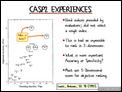 CASP2 Experiences