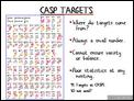 CASP Targets