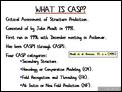 What is CASP