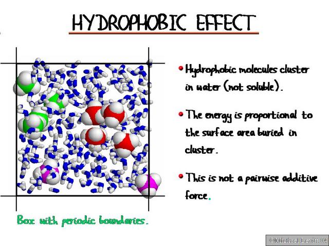 Hydrophobic_Effect