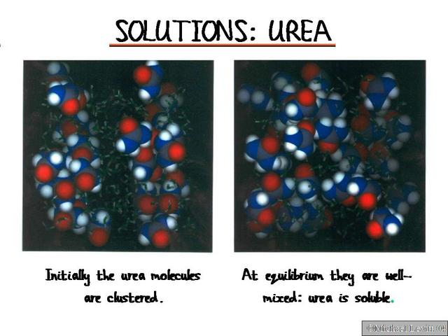 Solutions_Urea