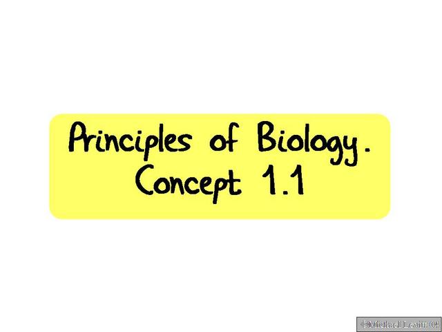 Principles_of_Biology._Concept_1.1